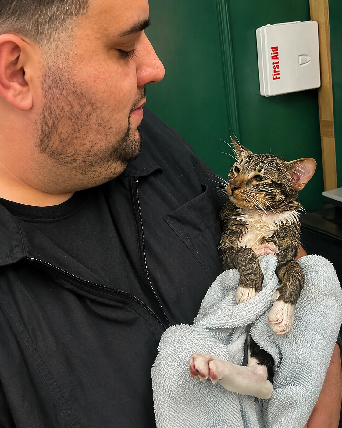 Cat bath and haircut at LaMagna's Dog Grooming in Floral Park, NY